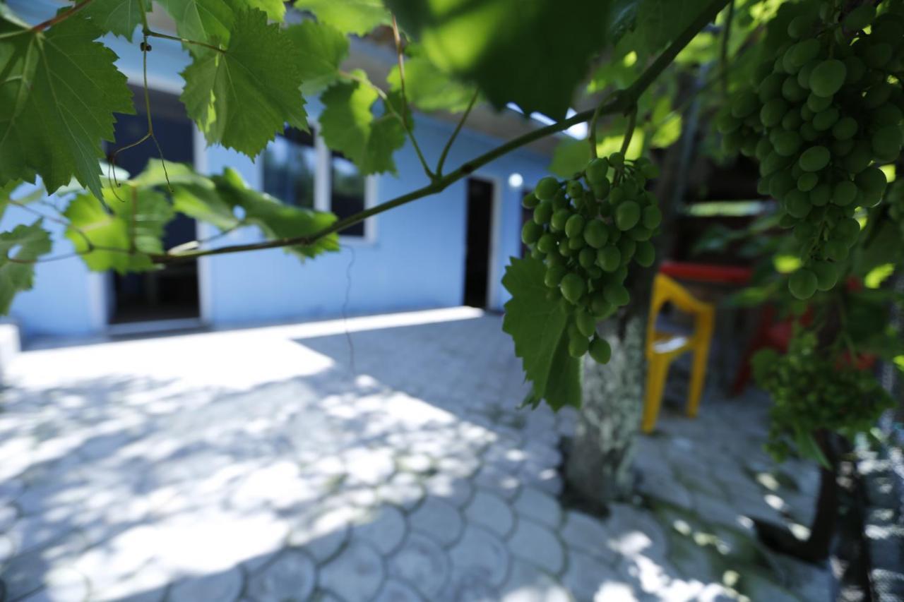Lilia Guesthouse シグナギ エクステリア 写真
